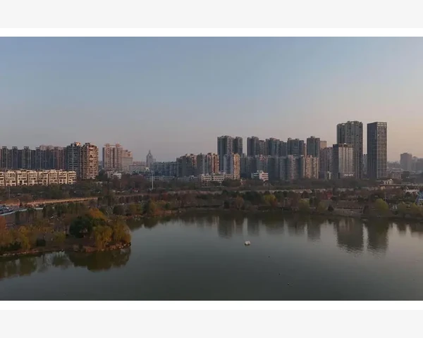 桂圆肉的神奇功效：驱寒新法，暖心暖肺，为你带来别样温暖
