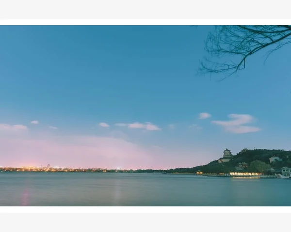 如何利用马齿苋功能化痰——中医科普文章